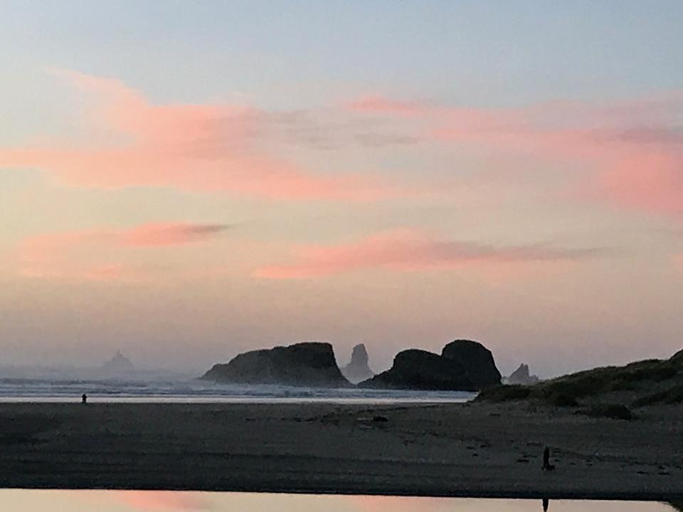 Webb'S Scenic Surf Otel Cannon Beach Dış mekan fotoğraf